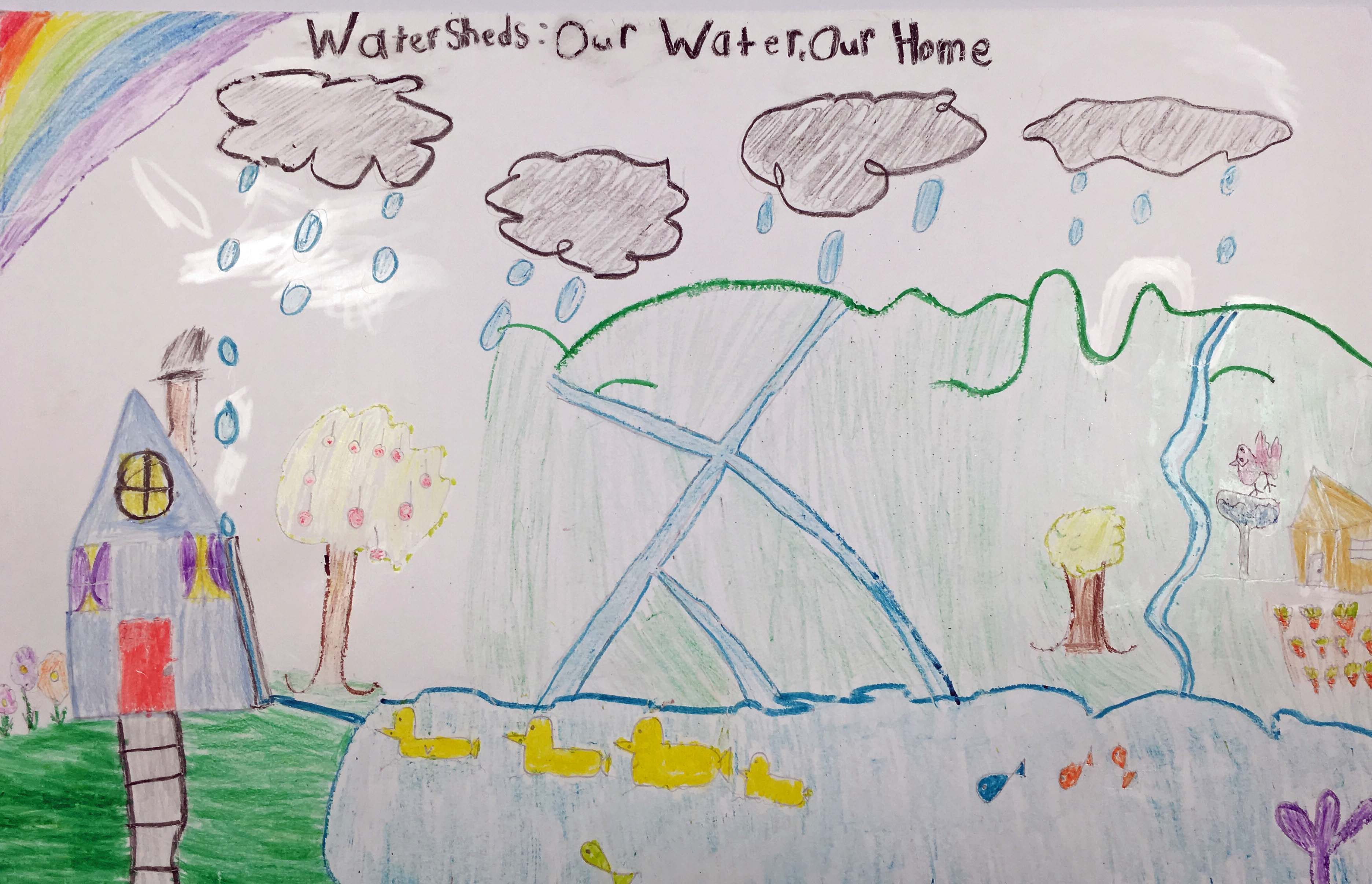 Watersheds: Our Water, Our Home Poster