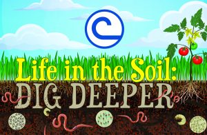 Life in the Soil: Dig Deeper 2019 conservation poster contest logo