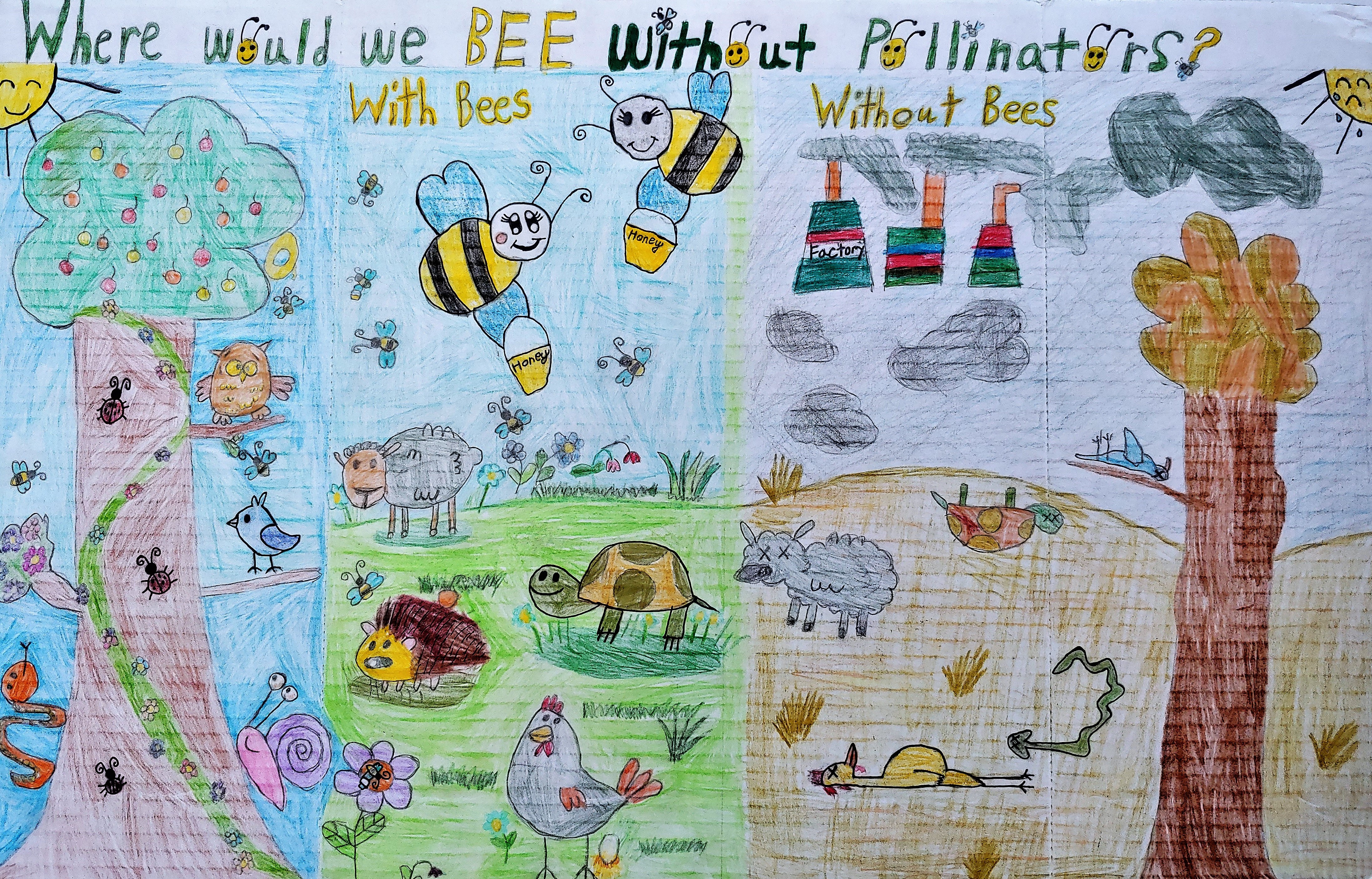 Student Posters Raise Awareness about Pollinator Conservation